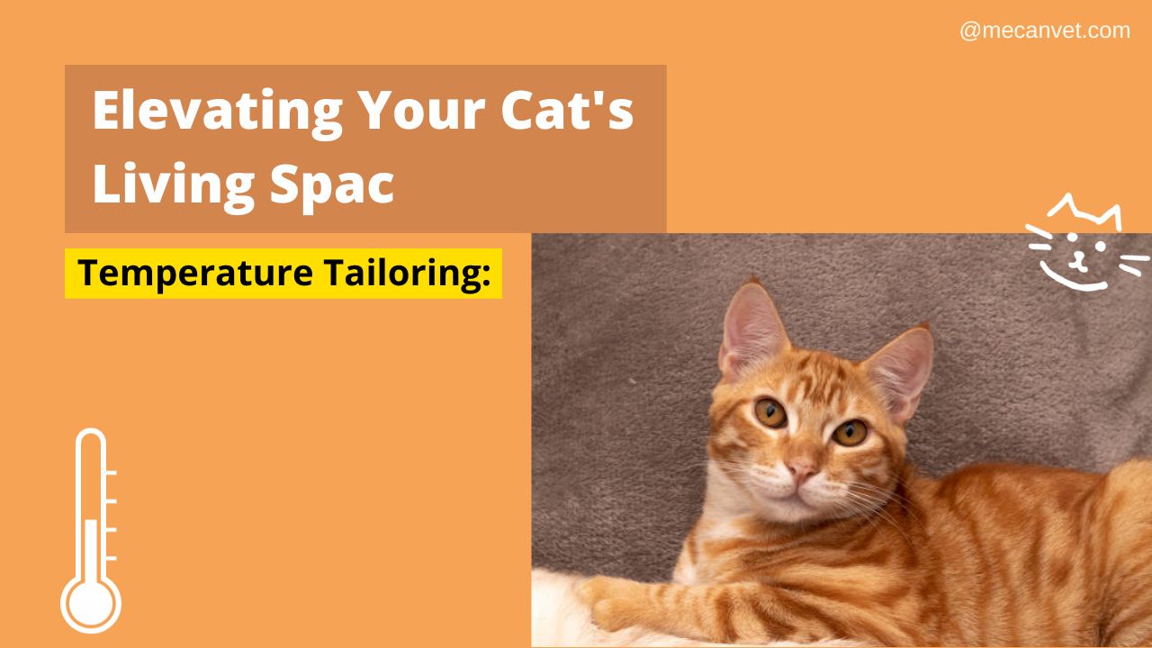 Temperature Tailoring: Elevating Your Cat's Living Space